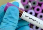 देश में कोरोना संक्रमित की संख्या पहुंची 507, अकेले इस राज्य में आंकड़ा 100 के उपर