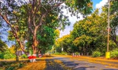 लॉकडाउन में कुछ बदला- बदला सा है भिलाई, तस्वीर देख आप भी हो जाएंगे मंत्रमुग्ध